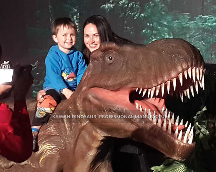 អតិថិជនអាហ្វ្រិកខាងត្បូង (3)